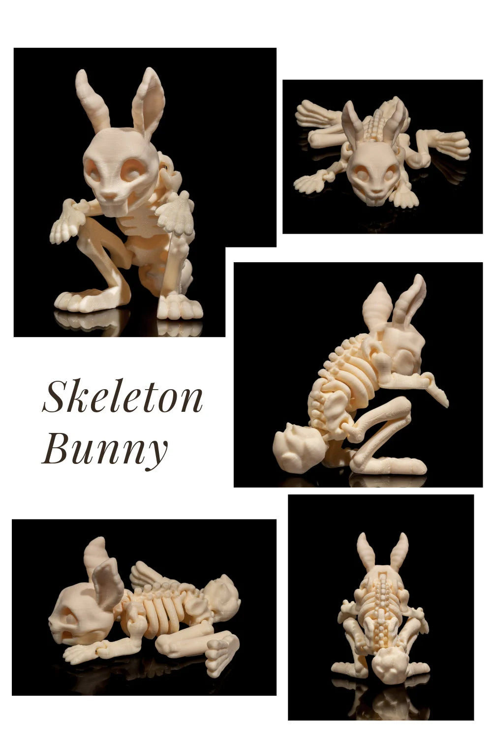 3D Printed Cute Skeleton Animals - Dog, Cat, Squirrel, Chameleon, Bunny Spooky Decor STLFLIX