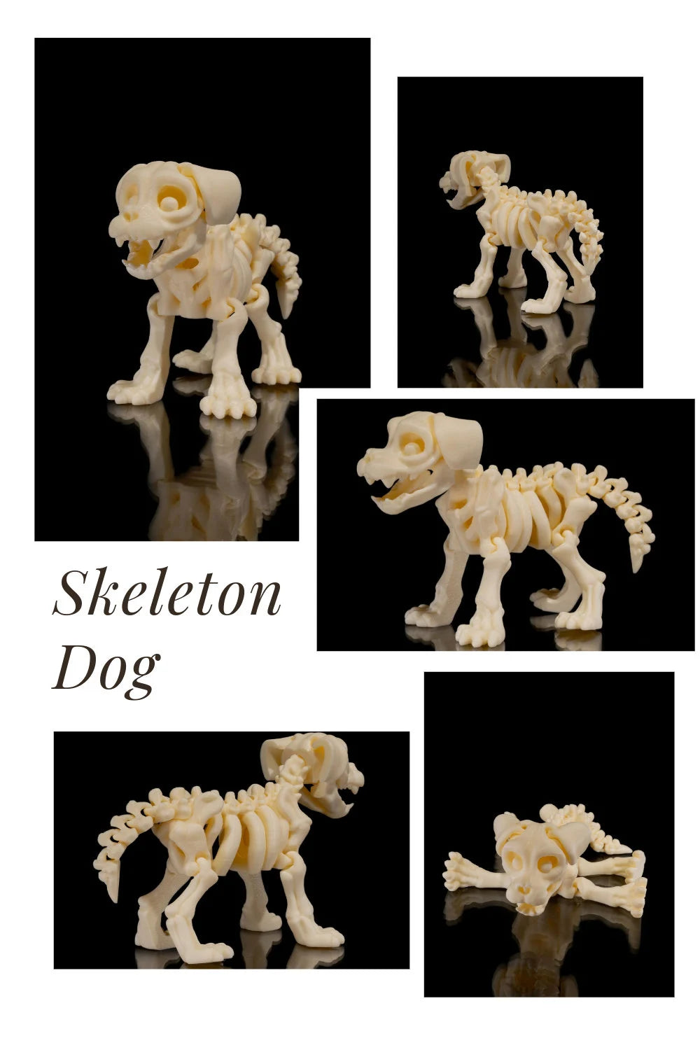 3D Printed Cute Skeleton Animals - Dog, Cat, Squirrel, Chameleon, Bunny Spooky Decor STLFLIX