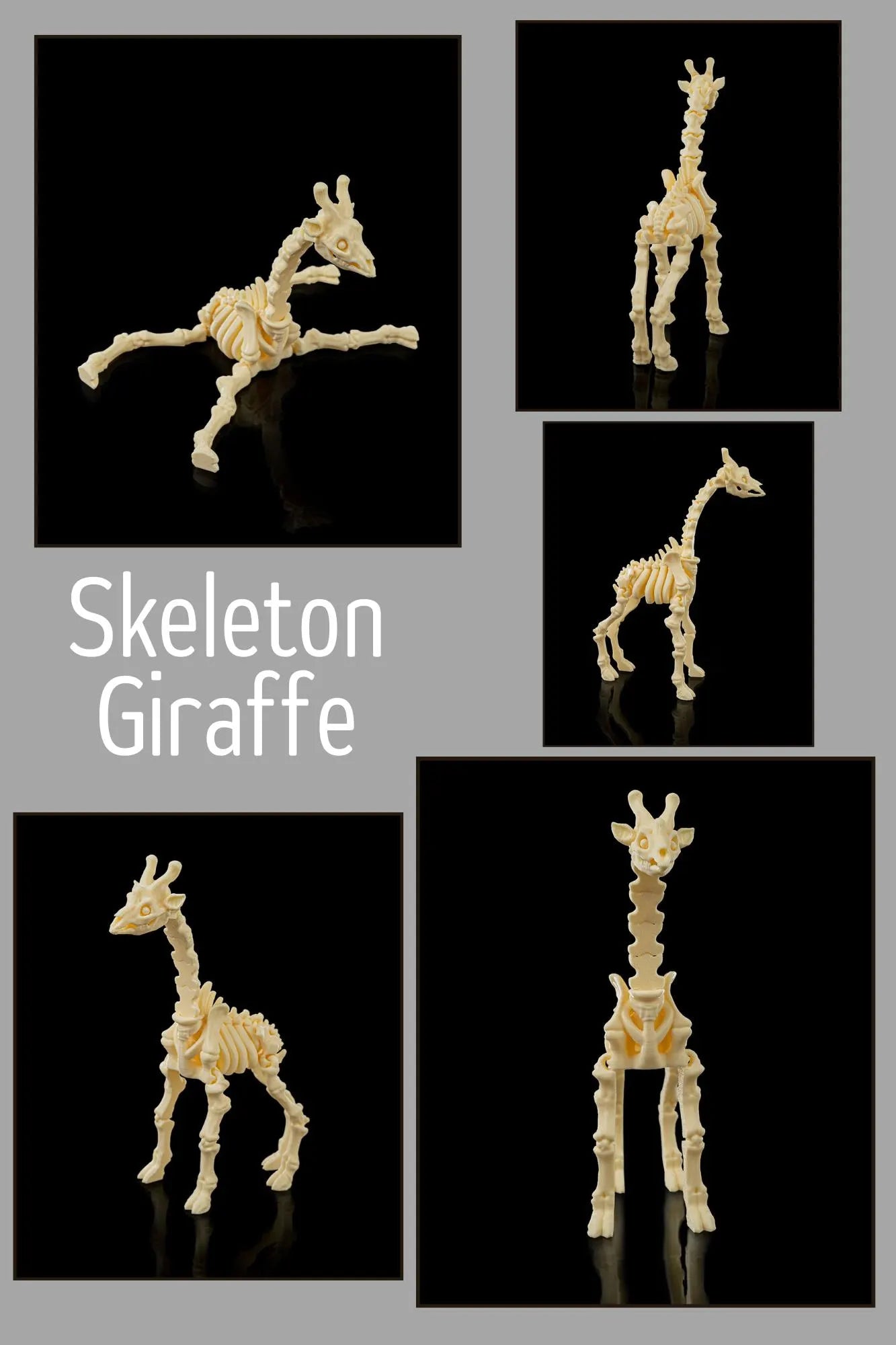 3D Printed Safari Skeleton Animals - Lion, Chimp, Elephant, Giraffe, Hippo, Rhino STLFLIX