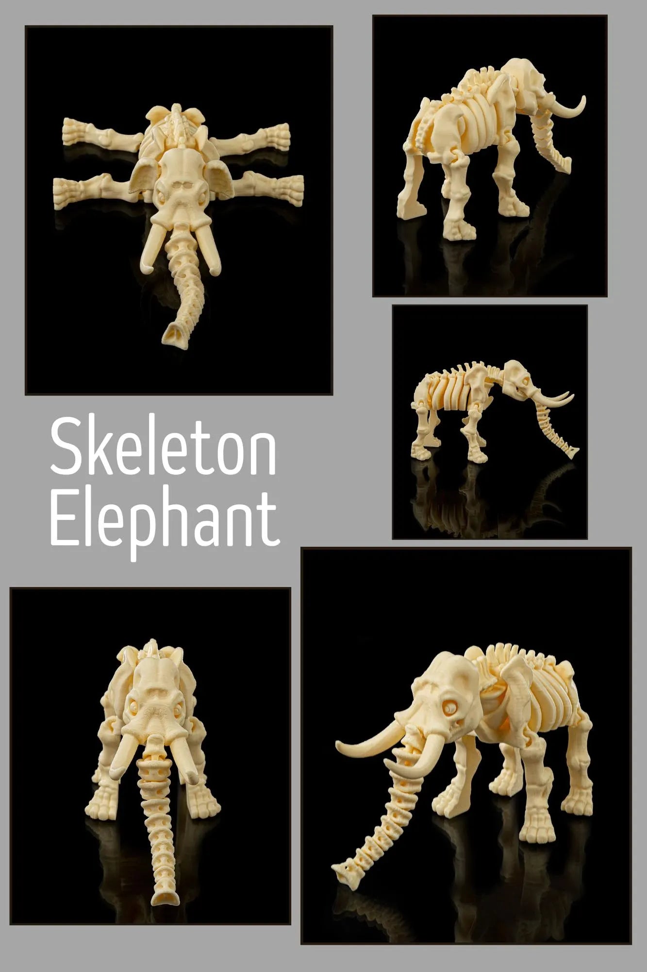 3D Printed Safari Skeleton Animals - Lion, Chimp, Elephant, Giraffe, Hippo, Rhino STLFLIX