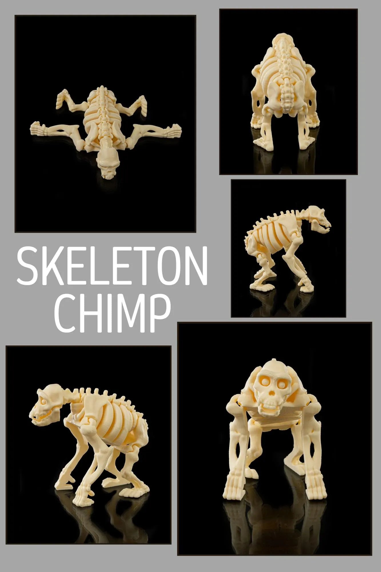 3D Printed Safari Skeleton Animals - Lion, Chimp, Elephant, Giraffe, Hippo, Rhino STLFLIX